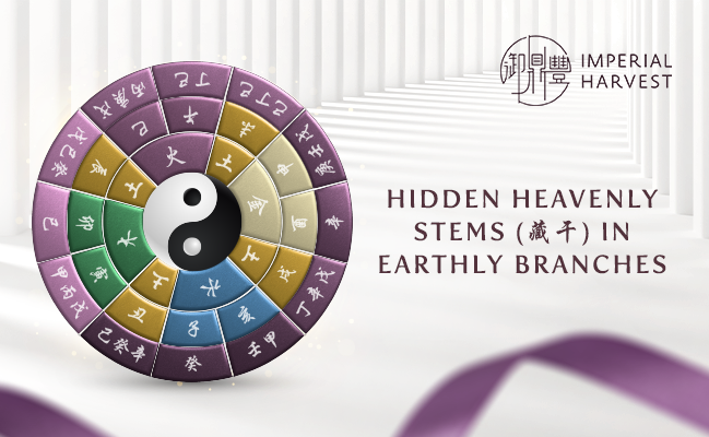 Hidden Heavenly Stems (藏干) in Earthly Branches