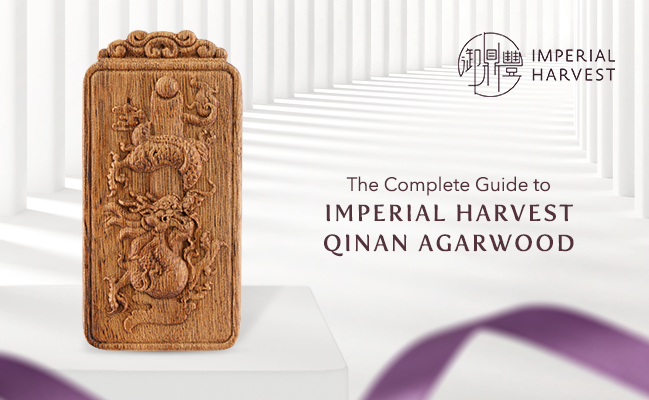 The Complete Guide to Imperial Harvest Qinan Agarwood