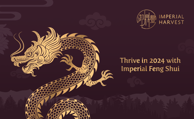 Thrive in 2024 with Imperial Feng Shui