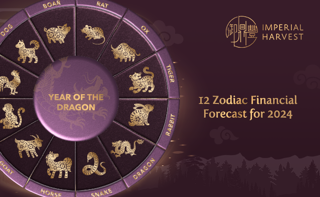12 Zodiac Financial Forecast for 2024