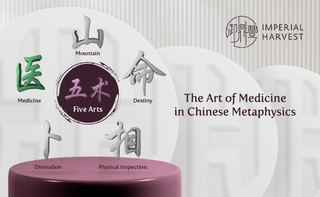 The Art of Medicine in Chinese Metaphysics