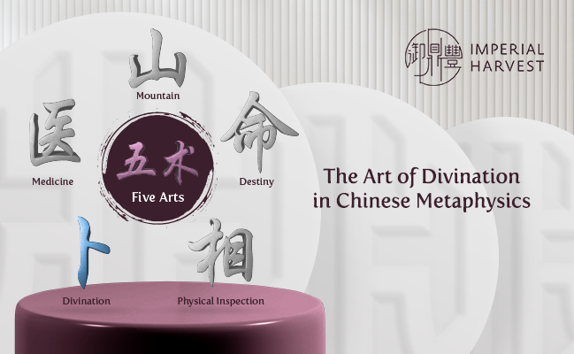 The Art of Divination in Chinese Metaphysics