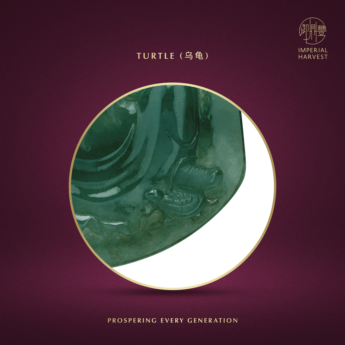 Blog 04.13 Xuan Tian Shang Di — The Supreme Celestial Commander Turtle