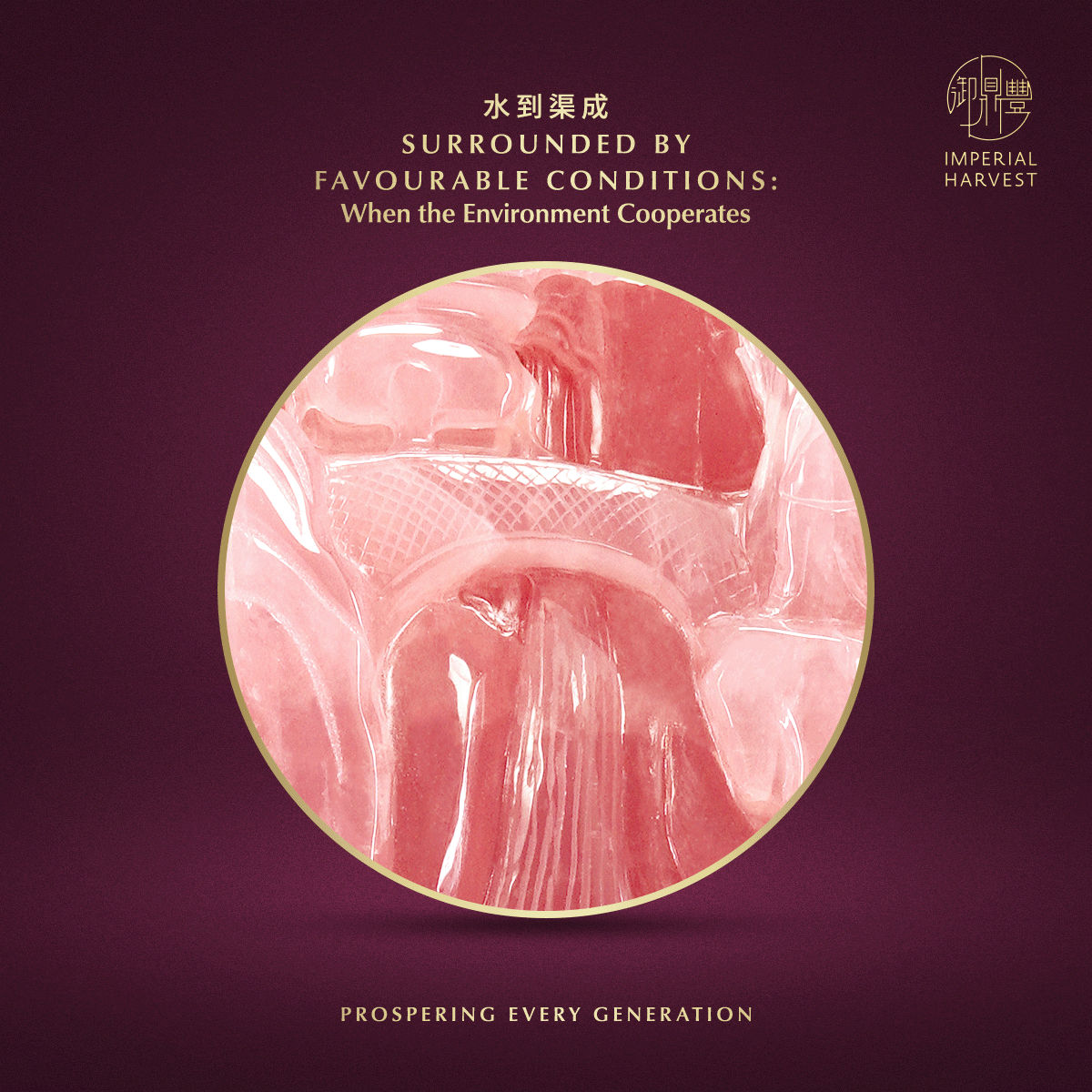 Blog 04.17 Introducing the Imperial Harvest Red Phoenix Mountain Surrounded by Favourable Conditions