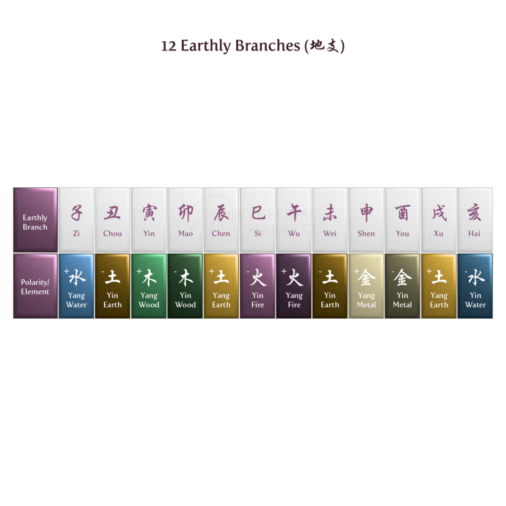 Image showcasing the 12 Earthly Branches featured in each Bazi chart.