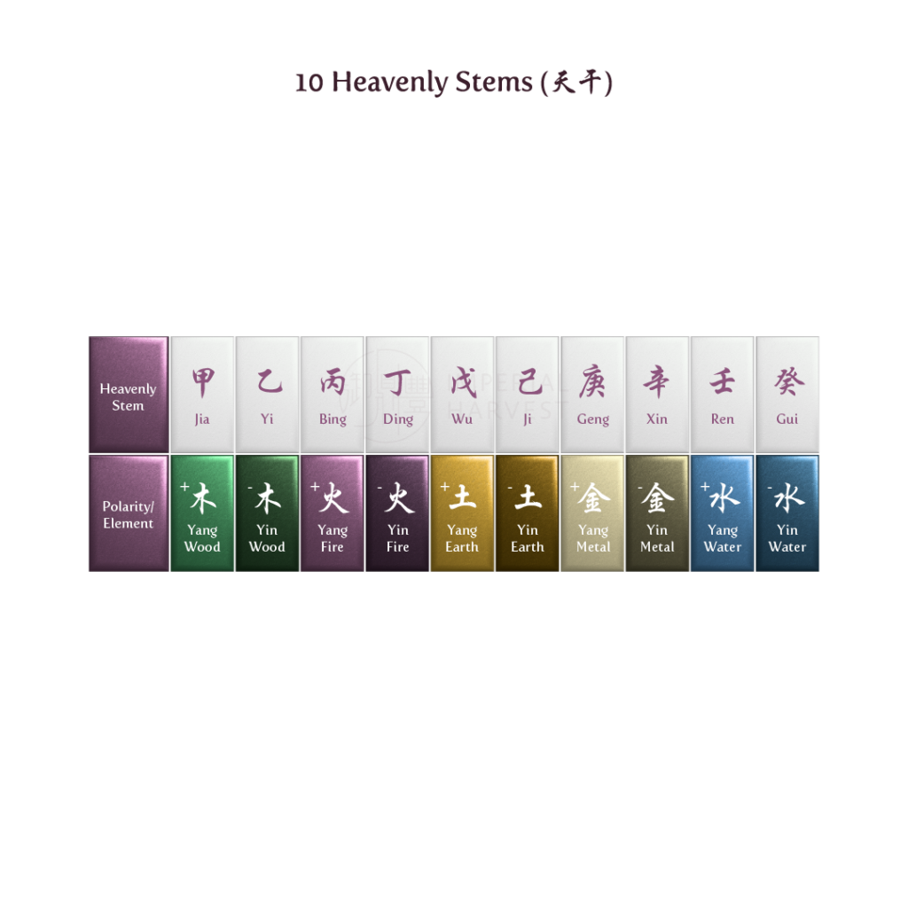 Image showcasing the 10 Heavenly Stems featured in each Bazi chart.