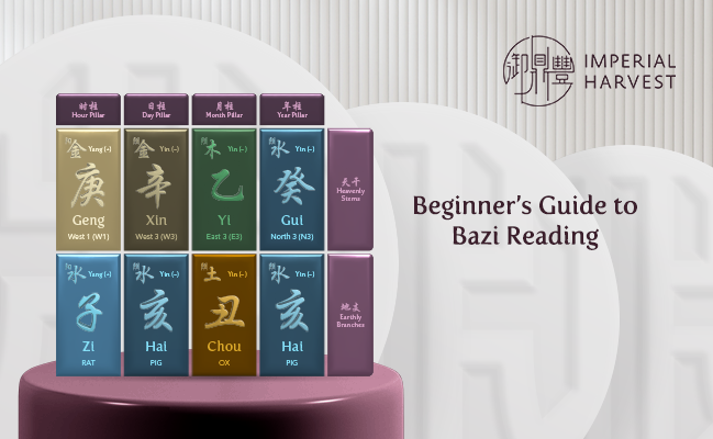 Beginner’s Guide to Bazi Reading