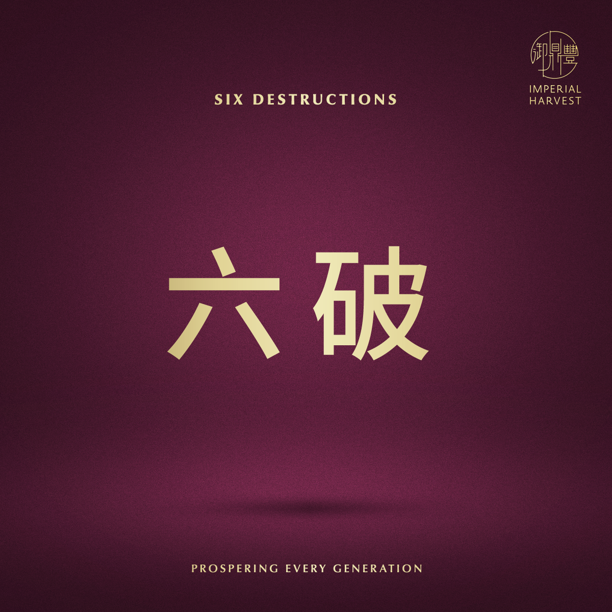 Blog 03.06 The 12 Earthly Branches 十二地支 Six Destructions