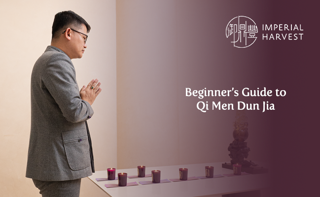 Beginner’s Guide to Qi Men Dun Jia