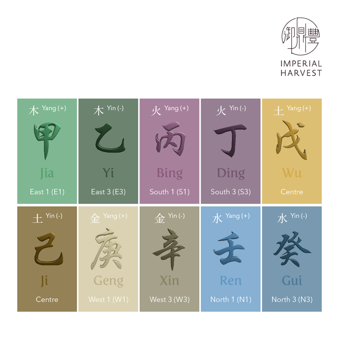 There are a total of Ten Daymasters: Jia Wood (甲木), Yi Wood (乙木), Bing Fire (丙火), Ding Fire (丁火), Wu Earth (戊土), Ji Earth (己土), Geng Metal (庚金), Xin Metal (辛金), Ren Water (壬水) and Gui Water (癸水).