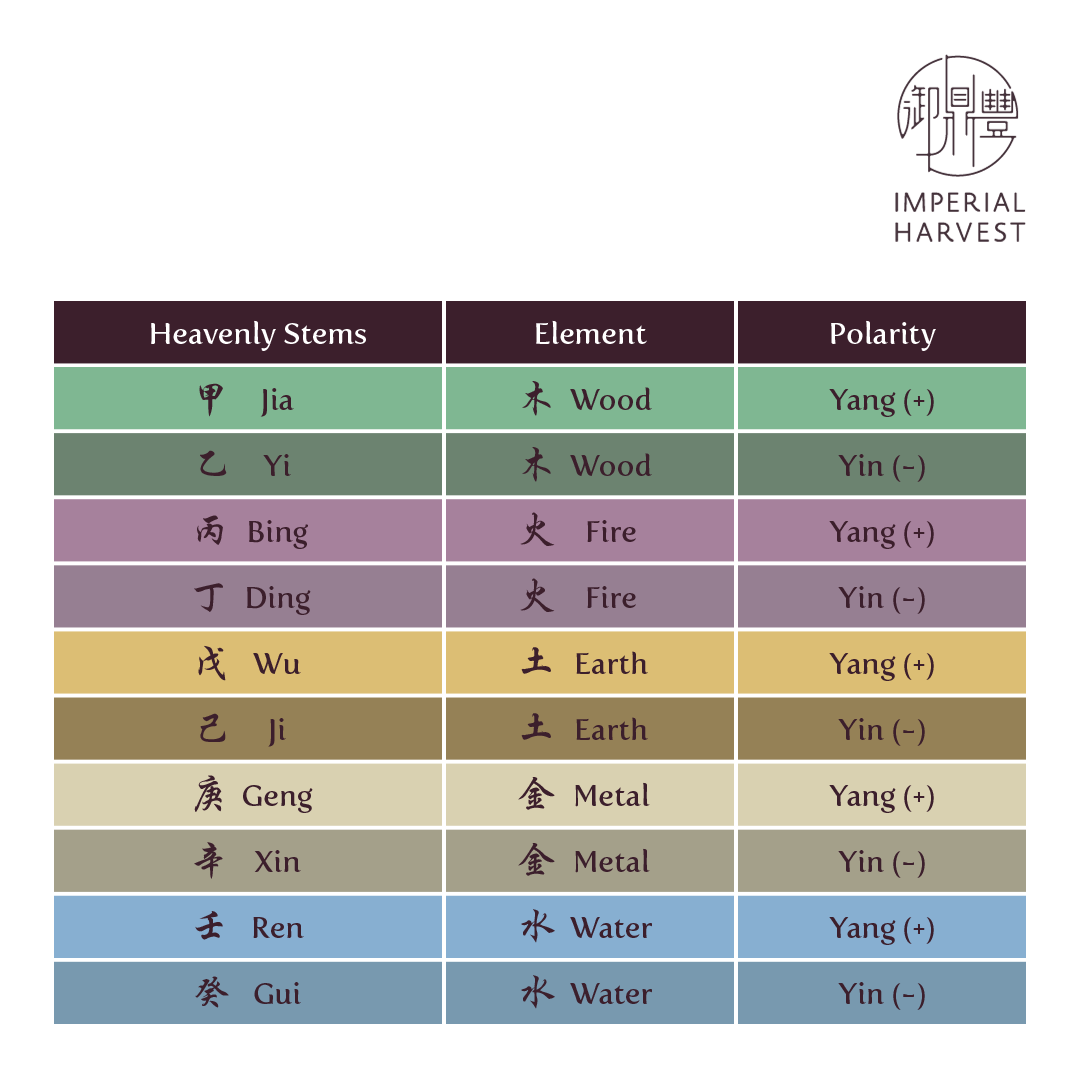 Different elements and Yin-Yang polarities of the Daymasters.