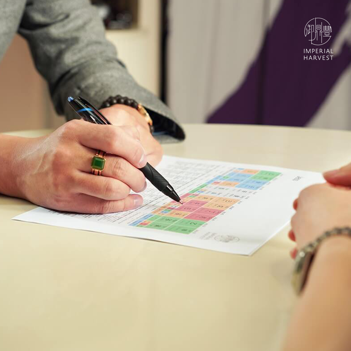 Blog 03.06 Beginners Guide to Bazi Bazi Consultation