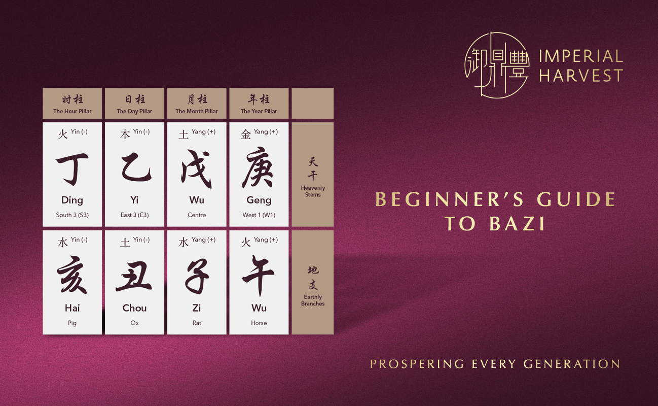 Beginner’s Guide to Bazi