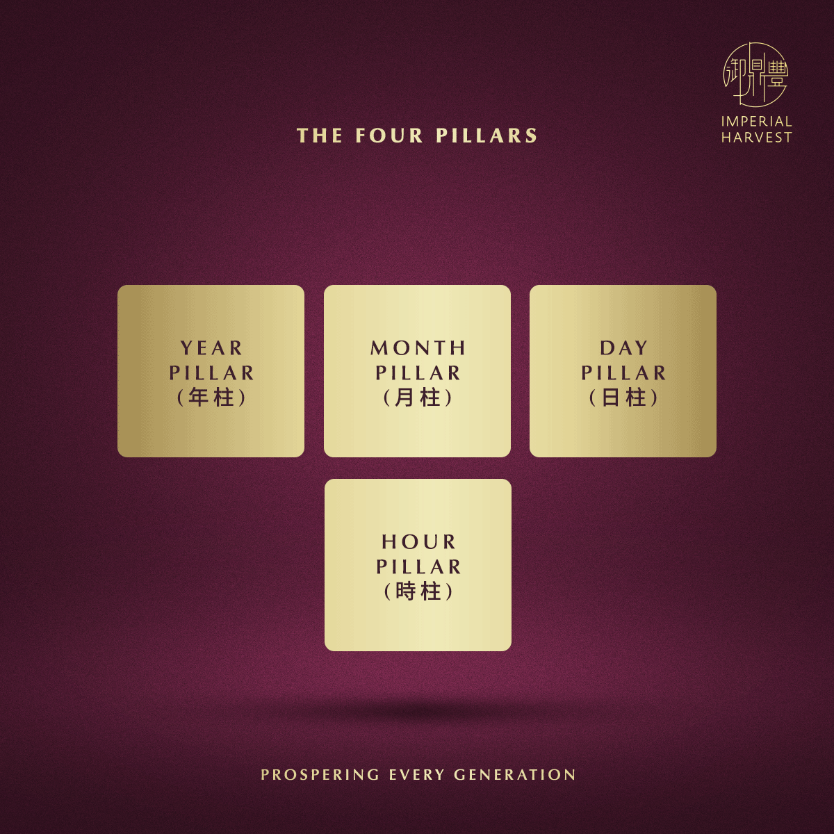 Blog 03.06 Beginners Guide to Bazi The Four Pillar