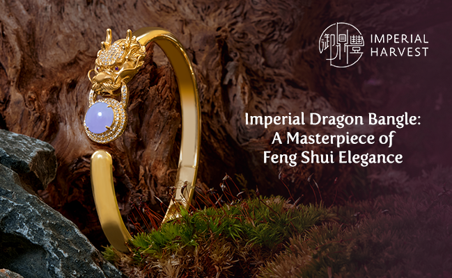 Imperial Dragon Bangle: A Masterpiece of Imperial Feng Shui Elegance