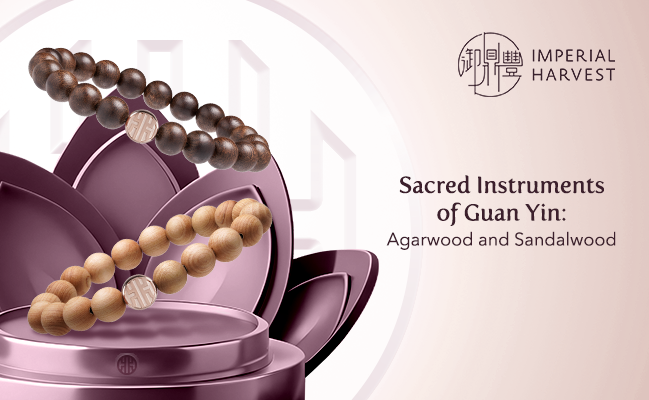 Sacred Instruments of Guan Yin: Agarwood and Sandalwood