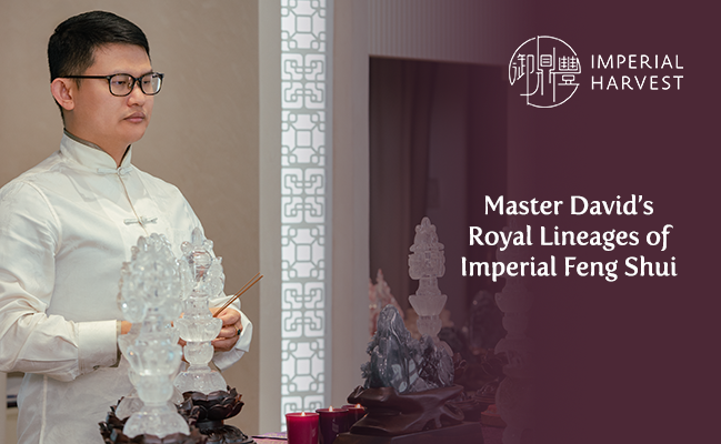 Master David’s Royal Lineages of Imperial Feng Shui