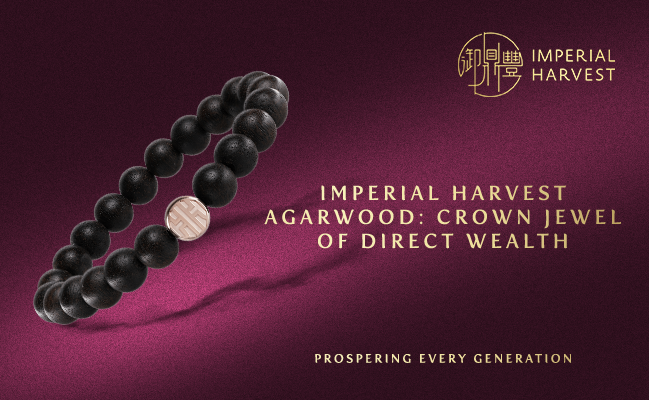 Imperial Harvest Agarwood: Crown Jewel of Direct Wealth