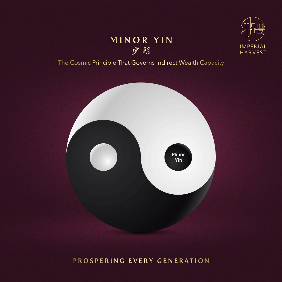 Elevate indirect wealth capacity through the harmonisation of Minor Yin (少阴)
