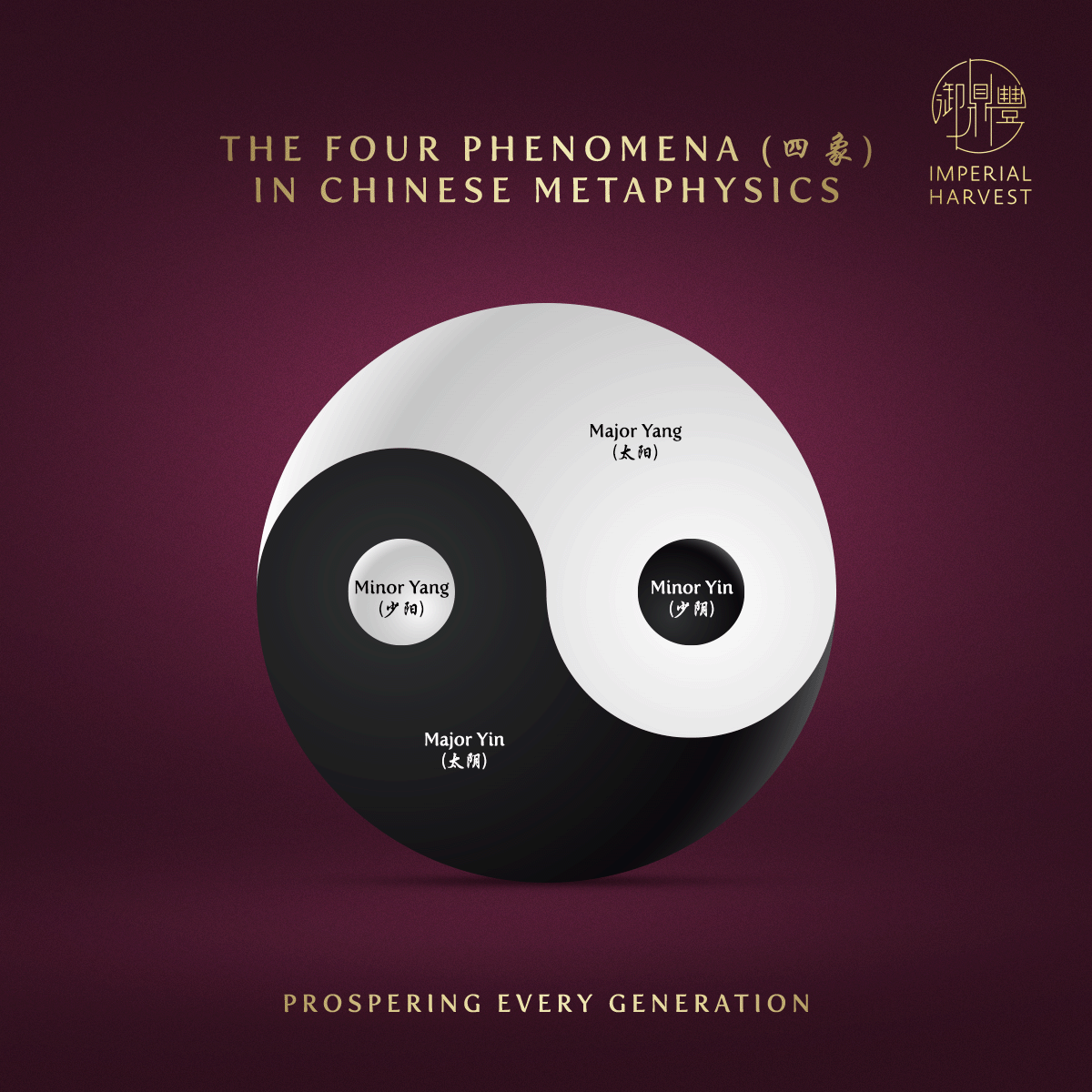 The Four Phenomena in Chinese Metaphysics