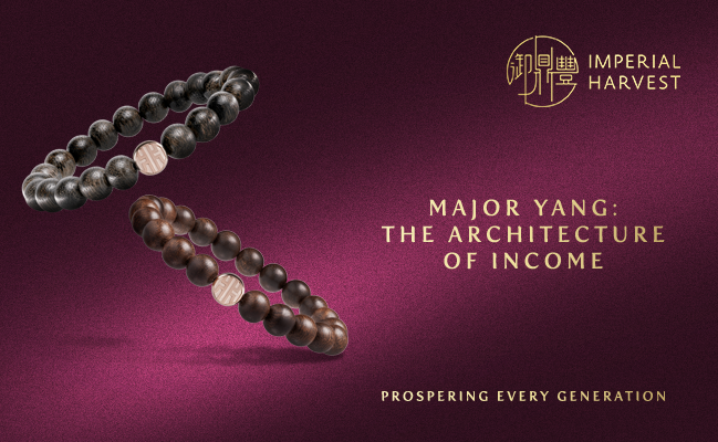 Major Yang — The Architecture of Income