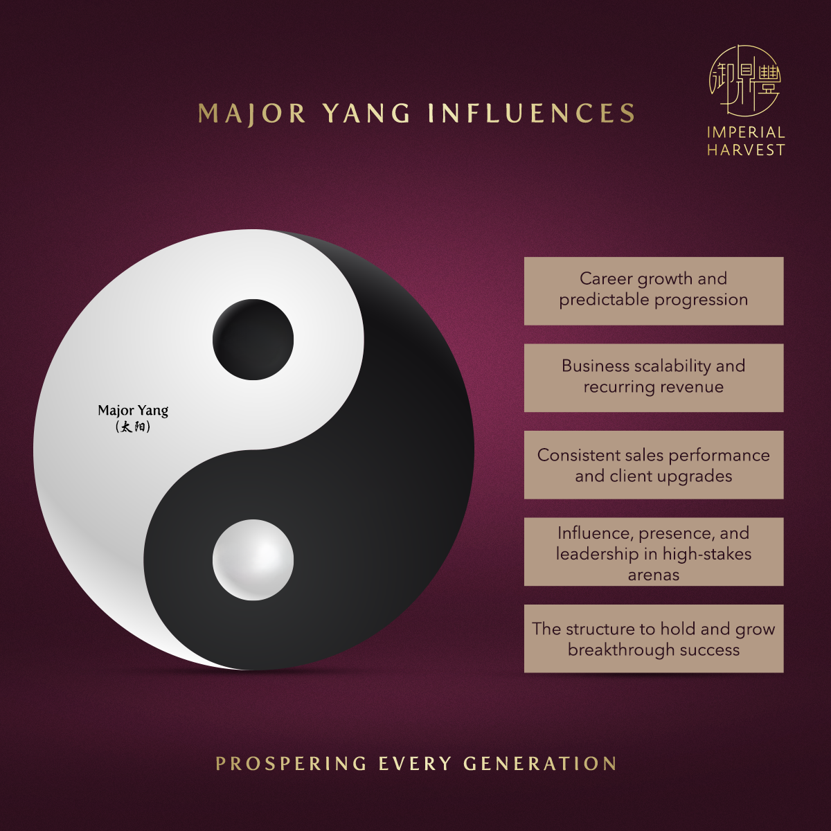 Major Yang governs direct wealth capacity (正财库).