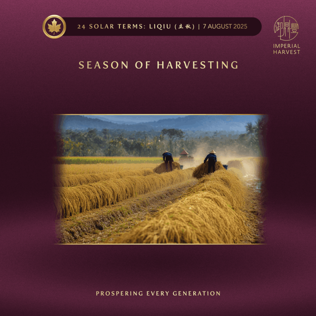 Season of Harvesting