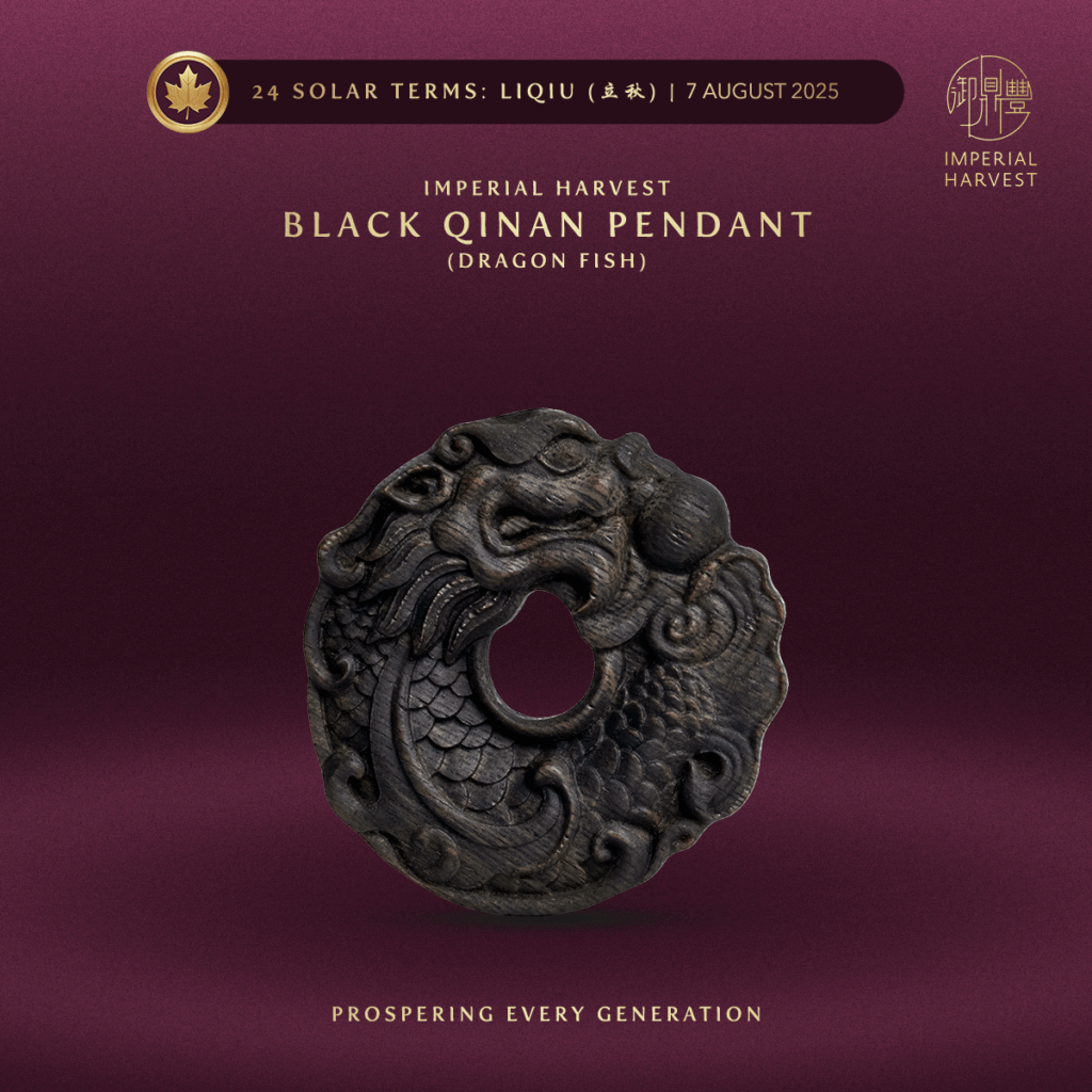 Black Qinan Pendant Dragon Fish
