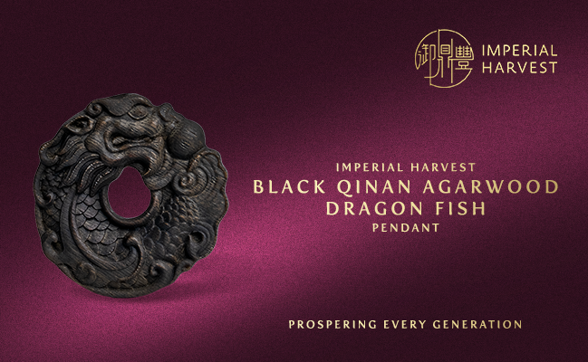 Black Qinan Agarwood Dragon Fish Pendant
