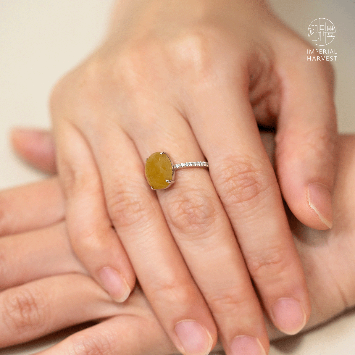 Blog 04.17 Imperial Harvest Stories — Melina Yap BOH Ring