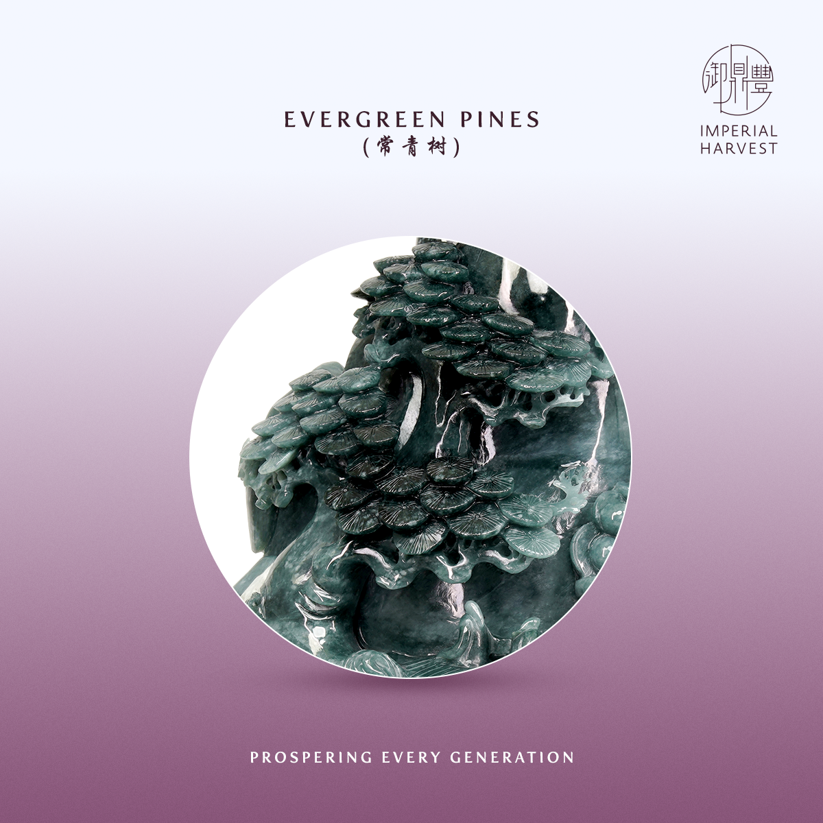 Blog 09.12 Imperial Harvest Qian Long Jadeite Mountain The Imperial Summit of Prosperity Evergreen Pines