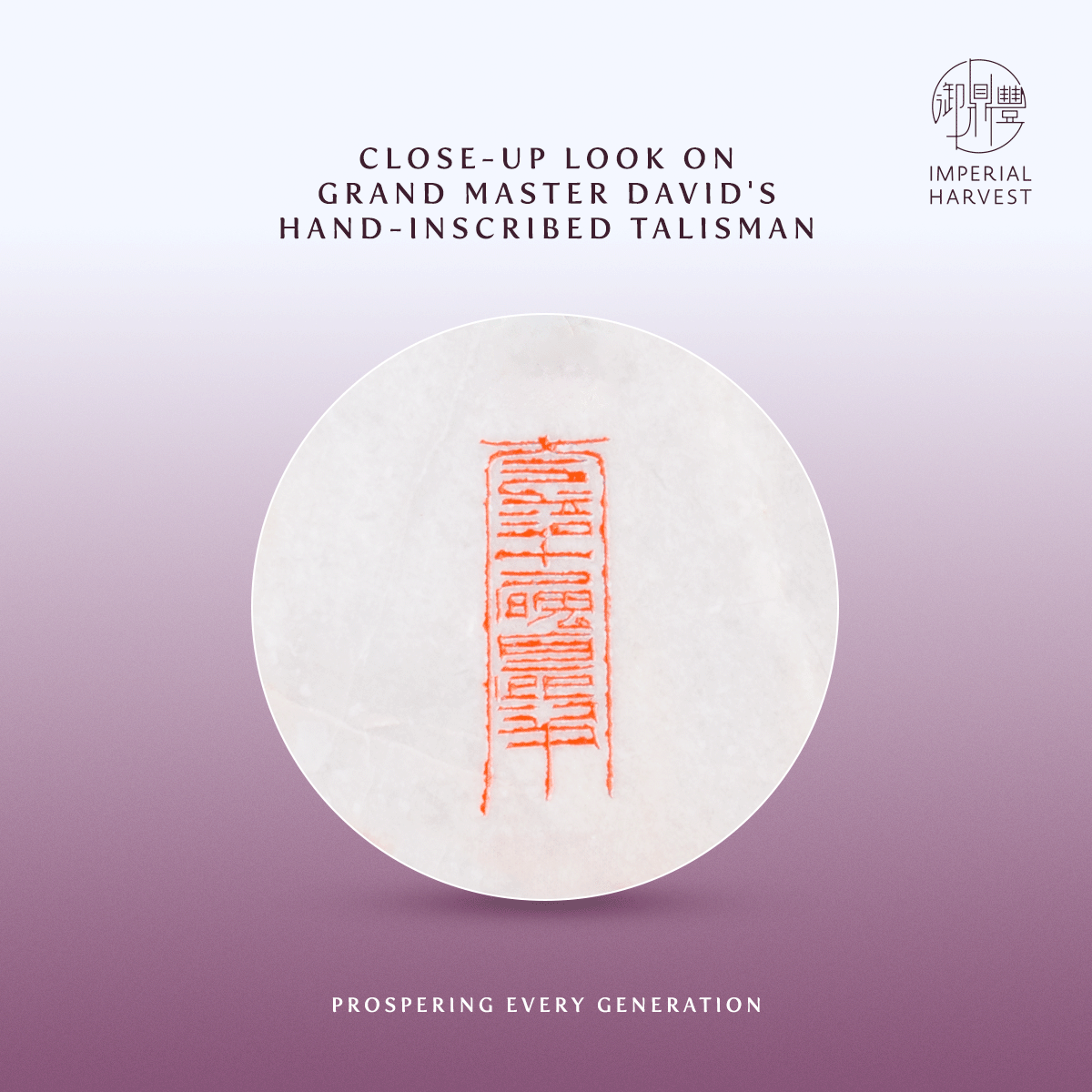 Blog 09.12 Imperial Harvest Qian Long Wishing Stone The Vessel of Wisdom and Authority Hand Inscribed 2