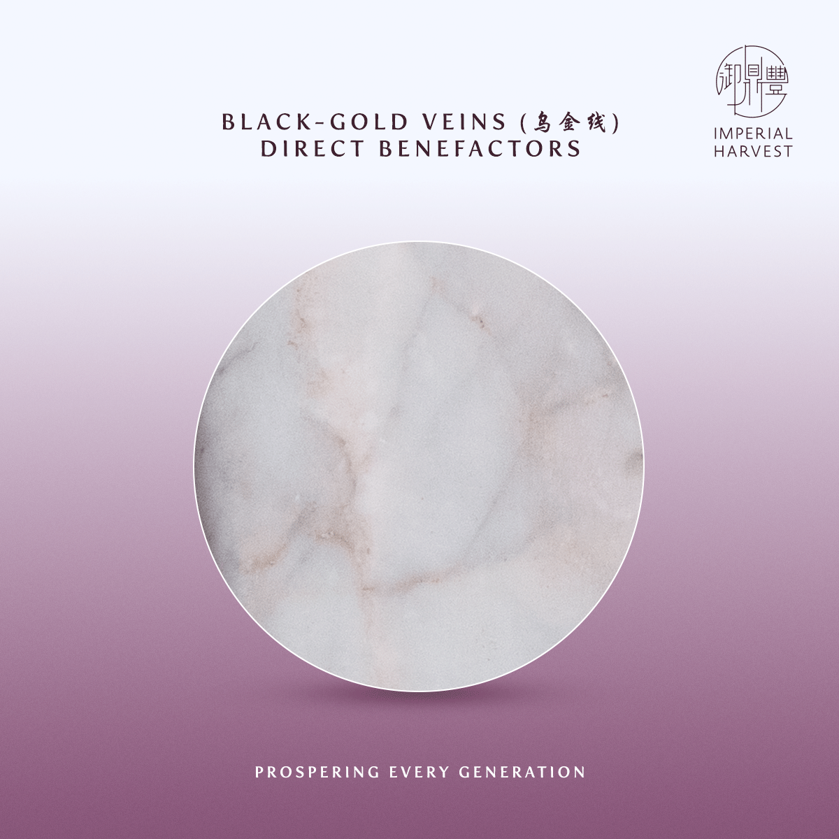 Blog 09.16 Imperial Harvest Imperial White Inkstone Bountiful Harvest Edition Black Gold Veins