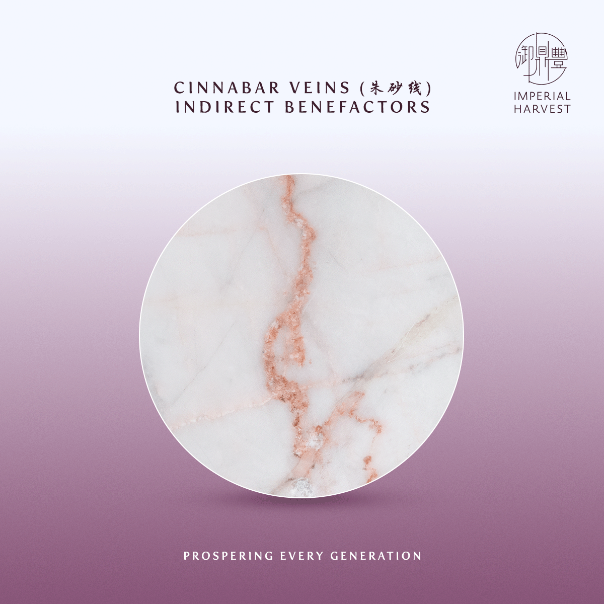 Blog 09.16 Imperial Harvest Imperial White Inkstone Bountiful Harvest Edition Cinnabar Veins
