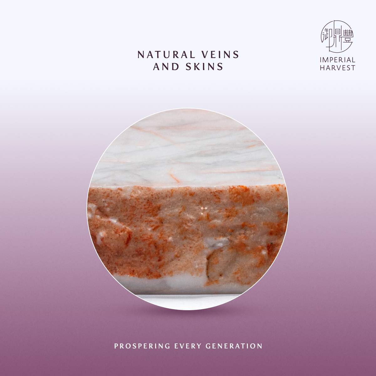 Blog 09.26 How to Select and Appraise an Imperial White Inkstone Natural Veins and Skins