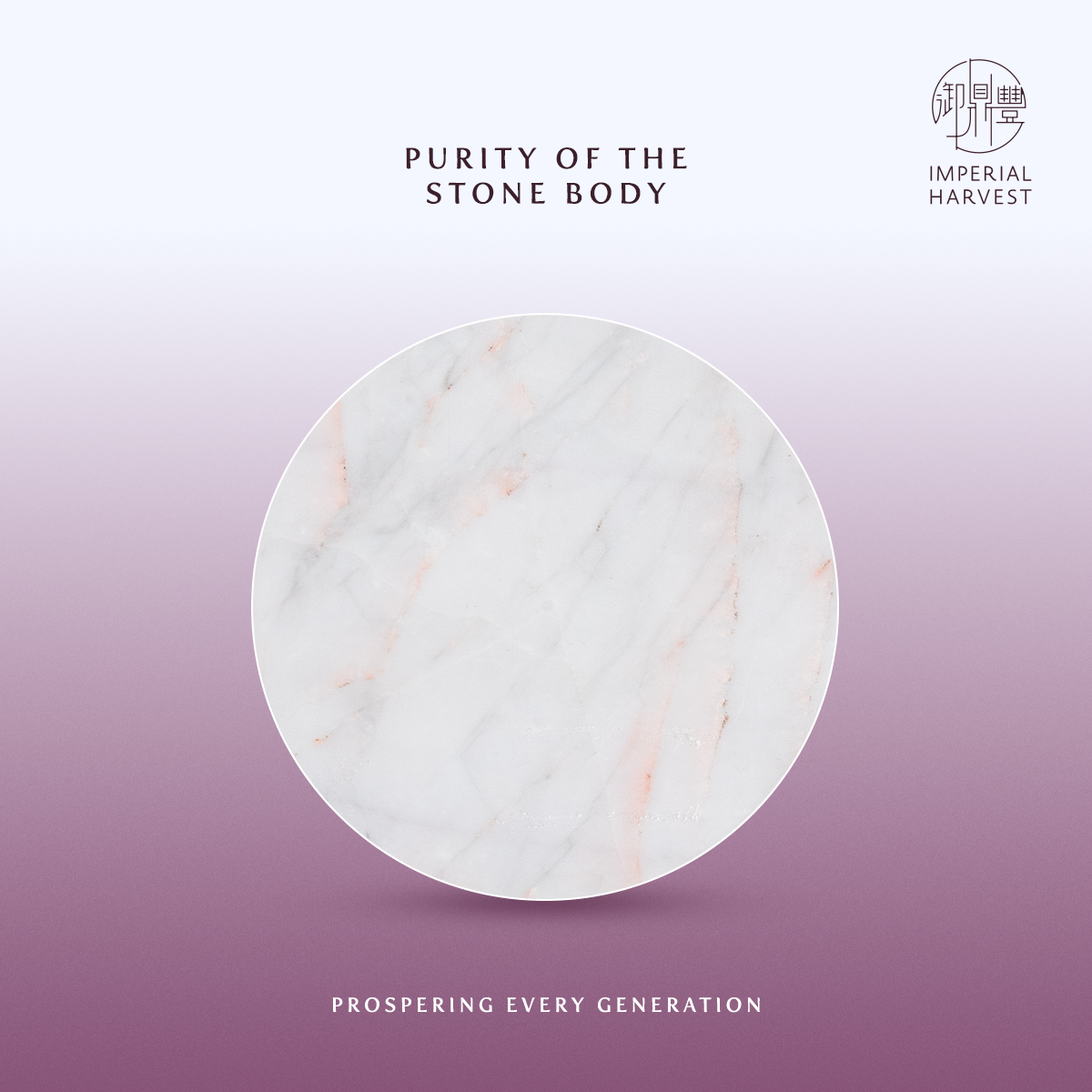 Blog 09.26 How to Select and Appraise an Imperial White Inkstone Purity of the Stone Body