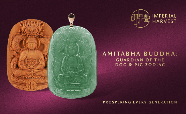 Amitabha Buddha: Guardian of the Dog & Pig Zodiac