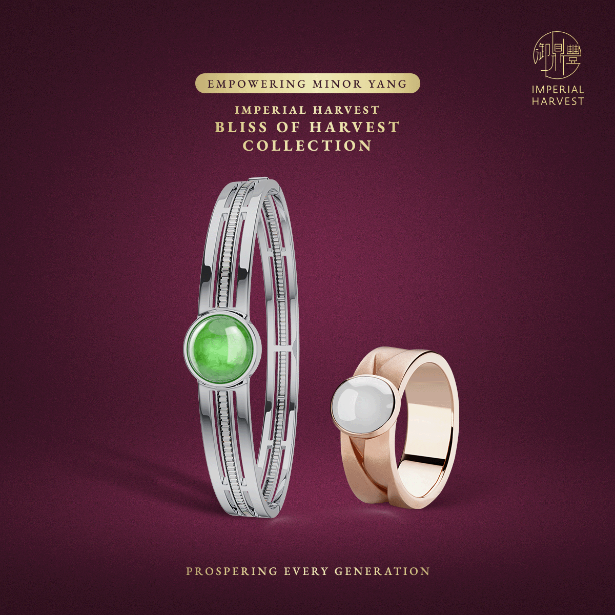 Blog 12.12 The Crimson Horse Forecast 2026 Ambitious Career Professionals Edition BOH