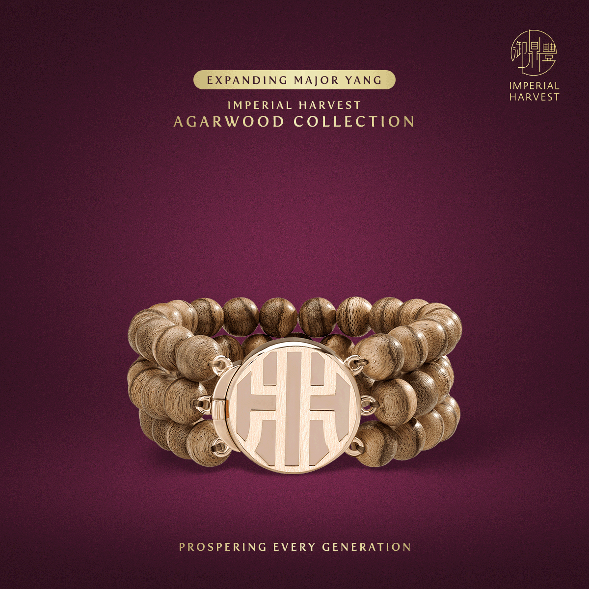 Blog 12.12 The Crimson Horse Forecast 2026 Financial Services Directors Edition Agarwood