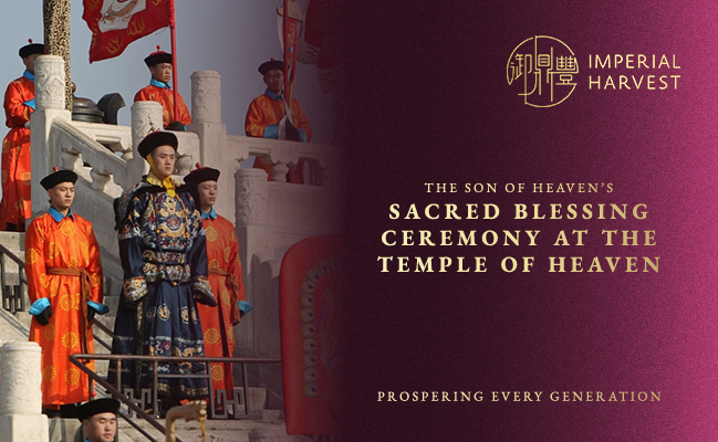 Winter Solstice Ritual: The Son of Heaven’s Sacred Blessing Ceremony at the Temple of Heaven