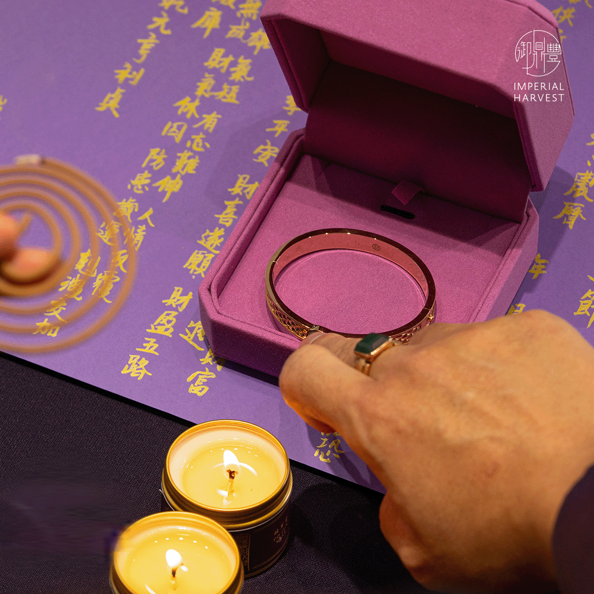 Blog 12.12 Winter Solstice Ritual The Son of Heavens Sacred Blessing Ceremony at the Temple of Heaven Ritual 3