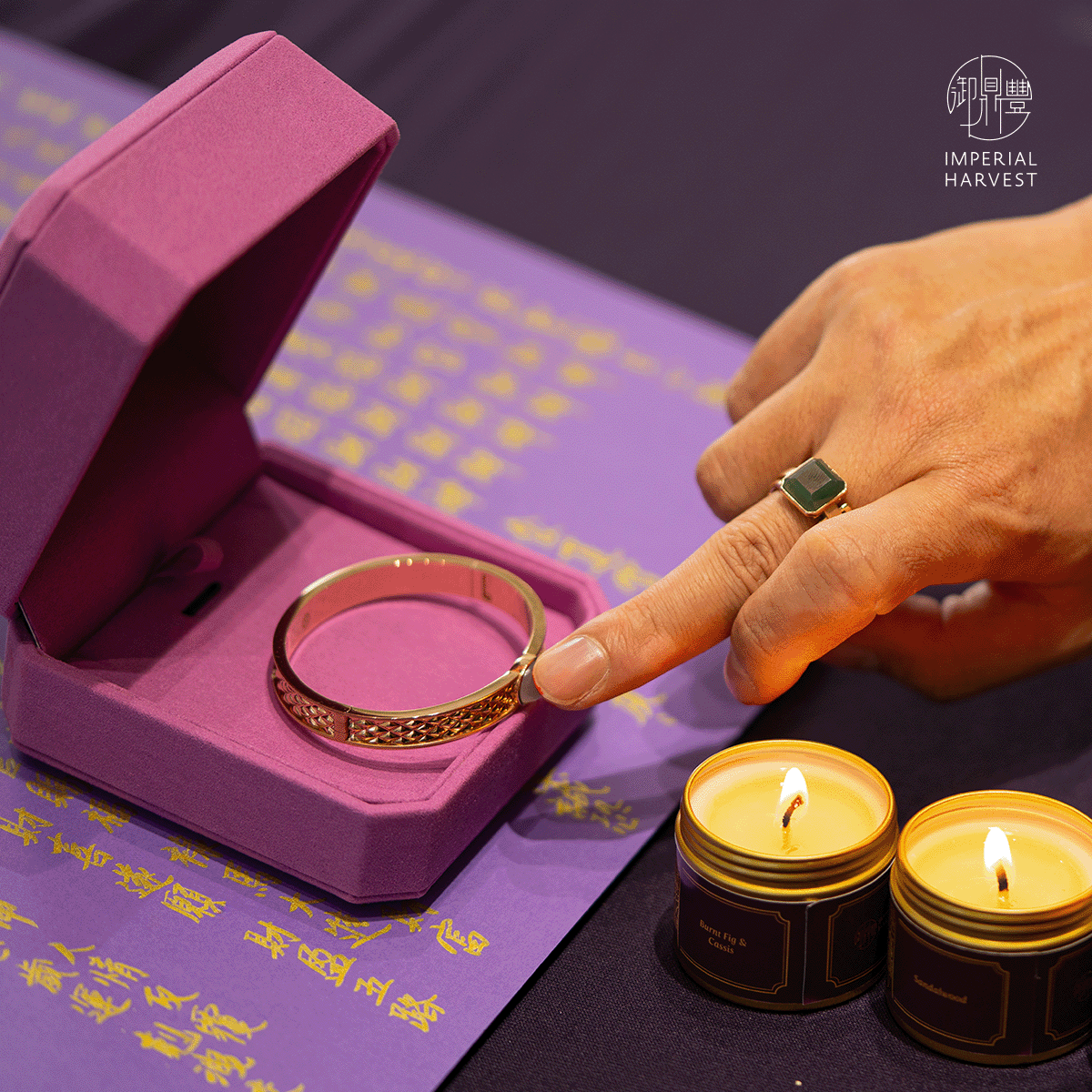 Blog 12.19 Imperial Harvest Big Dipper Ritual — Awakening Heavenly Guidance Ritual 7