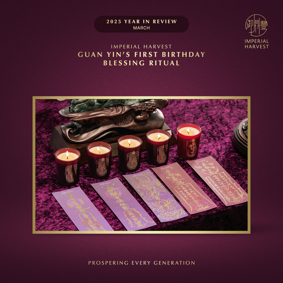 Blog 31.12 Imperial Harvest 2025 Year in Review Guan Yins First Birthday 1