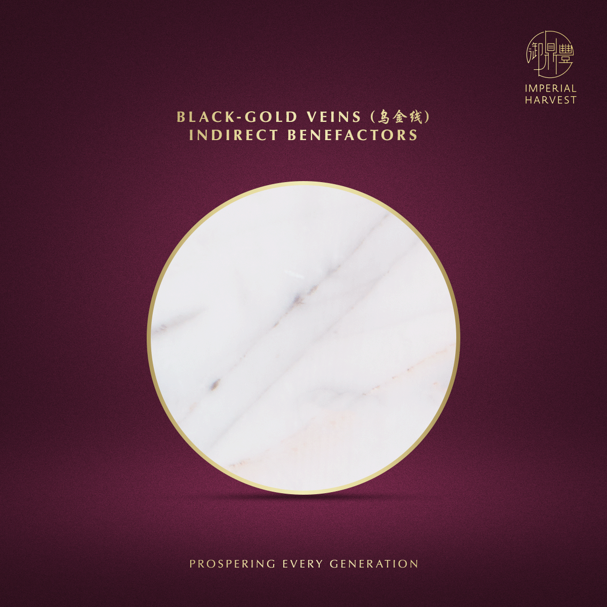 Blog 01.09 Imperial Harvest White Inkstone – Wall of China Edition Black Gold Veins