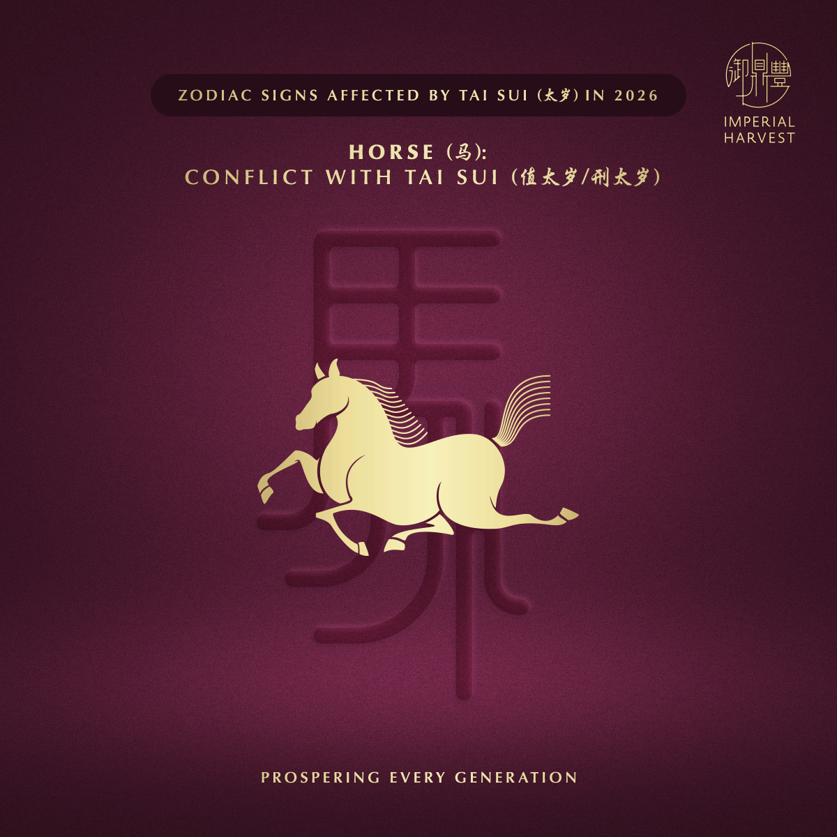 Blog 01.16 Zodiac Signs Affected by Tai Sui in 2026 Horse