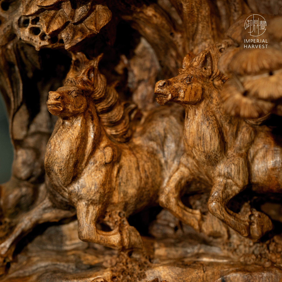 Blog 01.22 Imperial Harvest Triumphant Arrival Blessing Ritual 2026 IH Agarwood Triumphant Arrival 1