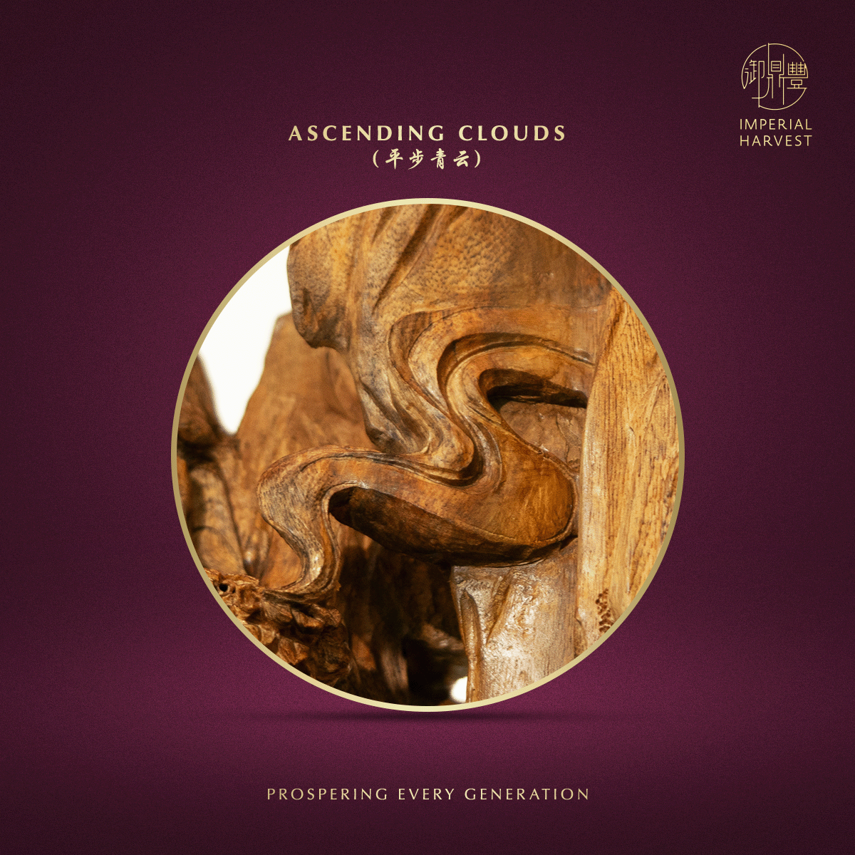 Blog 01.30 The Anchor Ceremonial Artefact for 2026 Imperial Harvest Dark Earth Agarwood — Triumphant Arrival Ascending Clouds