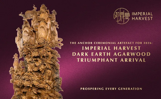 The Anchor Ceremonial Artefact for 2026: Imperial Harvest Dark Earth Agarwood Triumphant Arrival