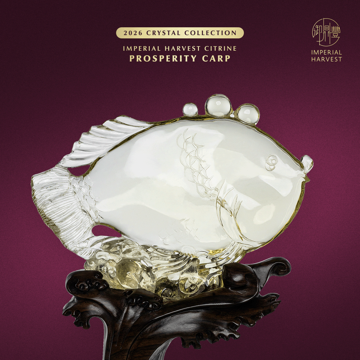 Blog 02.06 Imperial Harvest 2026 Crystal Collection Prosperity Carp Close Up