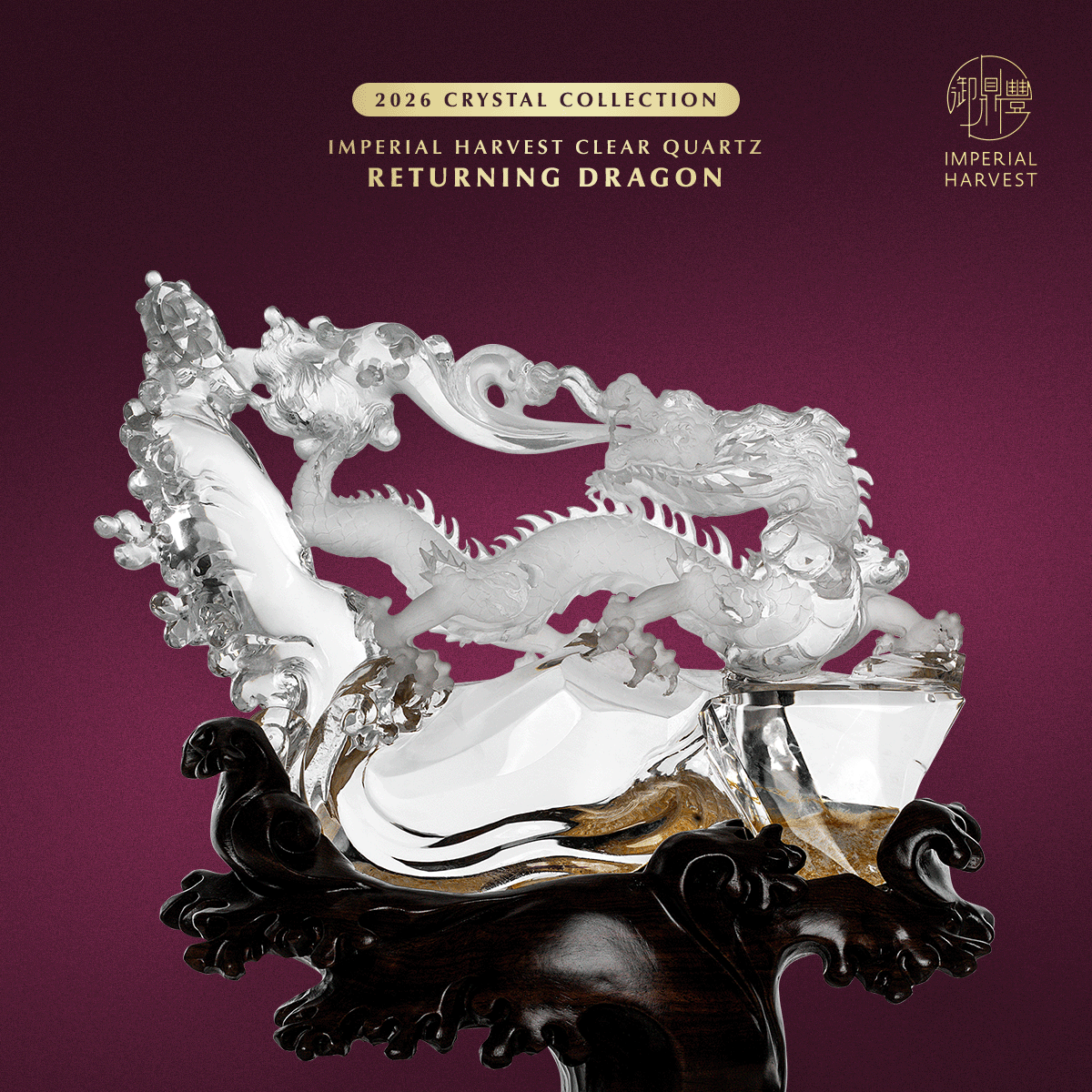 Blog 02.06 Imperial Harvest 2026 Crystal Collection Returning Dragon Close Up